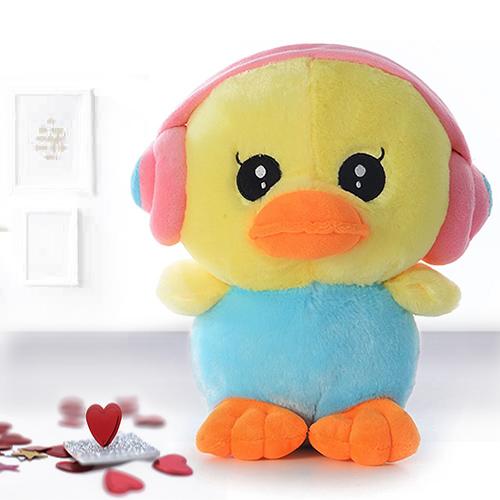 motu teddy