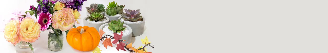 Corporate Gifts for Thanksgiving
