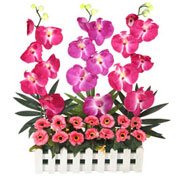 Orchid Flower Premium Quality Purple Artificial Artificial Flower Online Flowers Band Ring Hair Braid Saree Dances Of India
