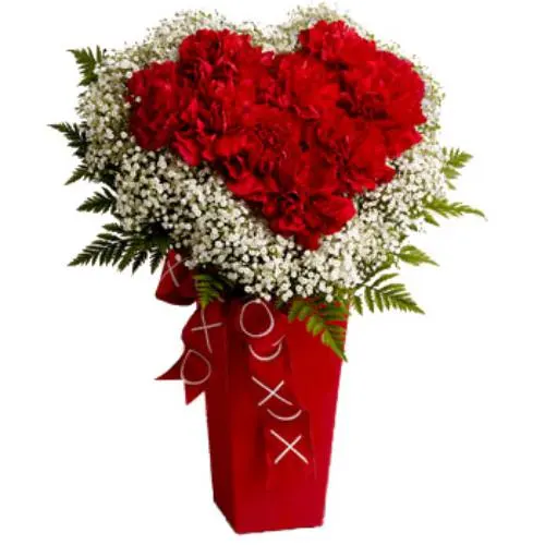 Hearty Carnations Arrangement