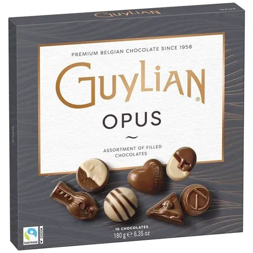 Decadent Guylian Artisan Chocolate Box