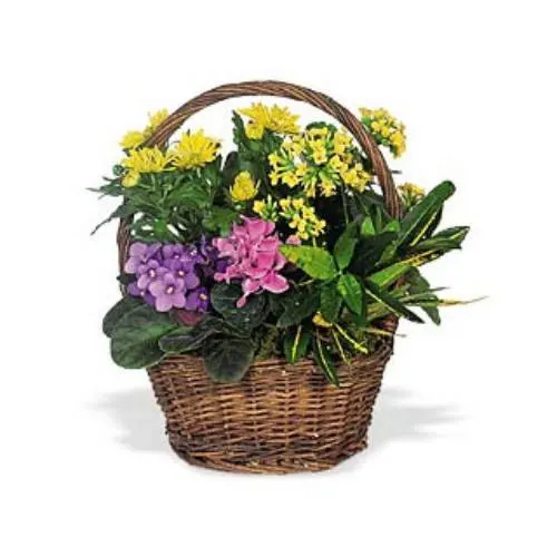 Garden Charmer Basket