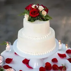 Elegant 2 Tier Round Shape Eggless Vanilla Cake