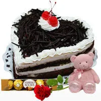 Order Black Forest Cake with Ferrero Rocher, Teddy N Red Rose