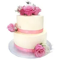 Gift Delicious 2 Tier Wedding Cake