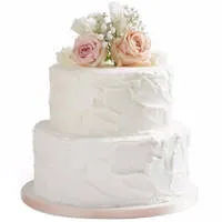 Shop for Delicious 2 Tier Wedding Cake