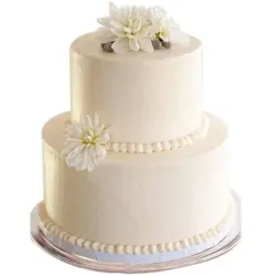Delicious 2 Tier Wedding Cake
