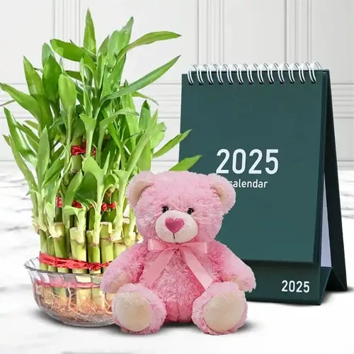Captivating Lucky Bamboo Plant with 6 inch Teddy