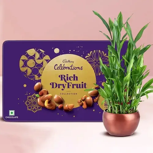 Exquisite Gift of 2 Tier Bamboo with Cadbury Dry Fruit Tin