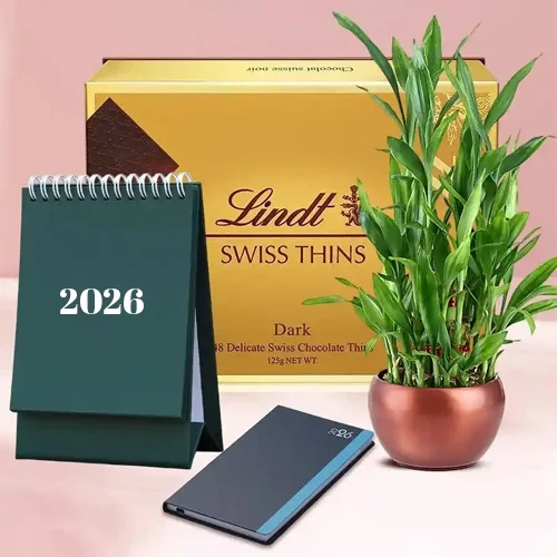Splendid Gift of Lucky Bamboo with Lindt N Pocket Dairy