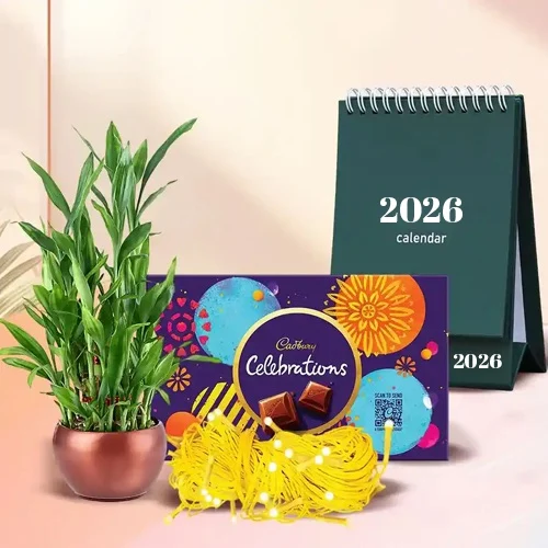 Impressive Combo of Lucky Bamboo, LED Light, Cadbury Celebration