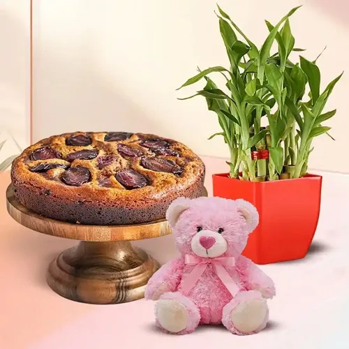 Combo of Lucky Bamboo Plant with Plum Cake n 2pcs Ball Point Pen
