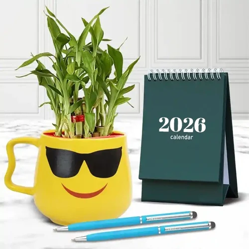 Amazing Plants Gift Hamper