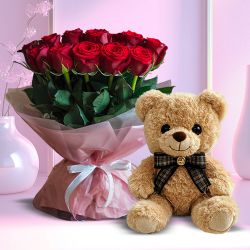 Gift of Cute Teddy and Red Rose Gift of Cute Teddy and Red Rose