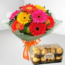 Birthday Thrilling Combo of Ferrero Rocher with Beautiful Bouquet of Mixed Gerbera Birthday Thrilling Combo of Ferrero Rocher with Beautiful Bouquet of Mixed Gerbera