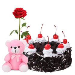 B Day Delight Upbeat Black Forest Cake with Rose and Small Teddy B Day Delight Upbeat Black Forest Cake with Rose and Small Teddy
