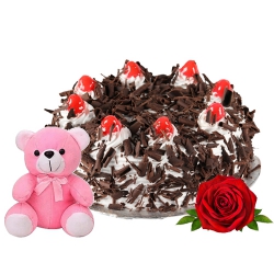 Wonderful Anniversary Special Black Forest Cake with Fresh Rose and Teddy Wonderful Anniversary Special Black Forest Cake with Fresh Rose and Teddy