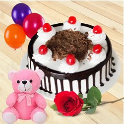 Pretty Single Rose Gift with Fresh Black Forest Cake, Teddy and Balloons Pretty Single Rose Gift with Fresh Black Forest Cake, Teddy and Balloons