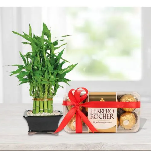 Good luck gifts deals