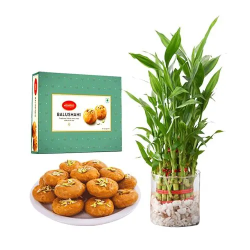 Balushahi from Bikanervalas with 3 Tier Bamboo Plant	