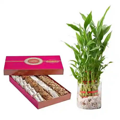 Golden Star Mix Mithai from Bikanerwala with 3 Tier Lucky Bamboo  Plant