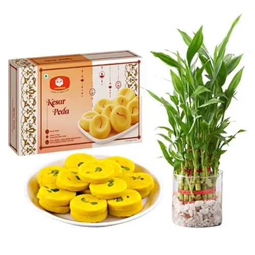 Kesar Mewa Peda from Mohanlals Mithaiwala with 3 Tier Lucky Bamboo Plant