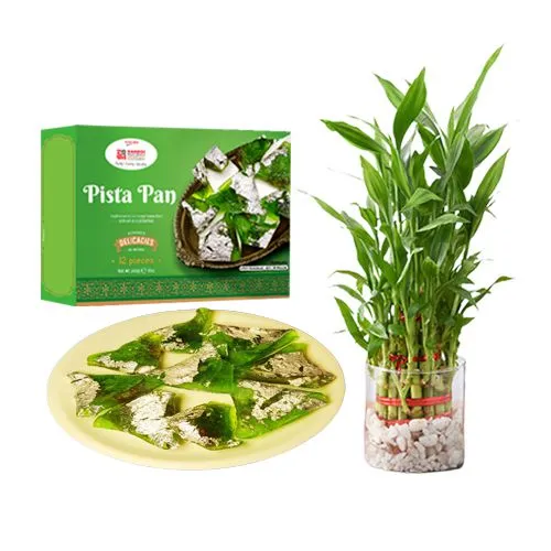 Pista Pan from Kandoi Bhogilal Mulchand with 3 Tier Lucky Bamboo Plant