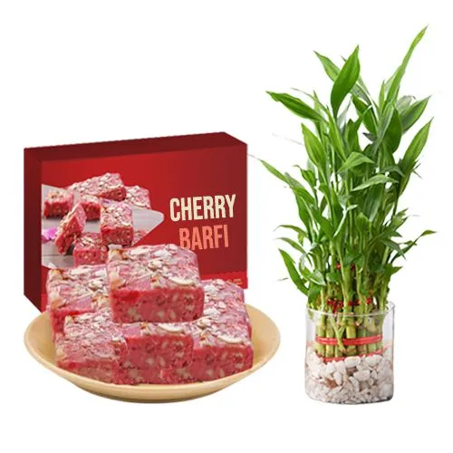 Cherry Barfi from Mohanlals Mithaiwala with 3 Tier Lucky Bamboo Plant