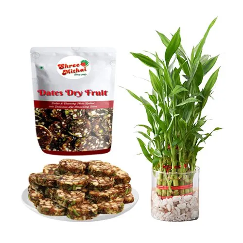 Dry Fruit Dates Roll from Shree Mithai with Lucky Bamboo Plant