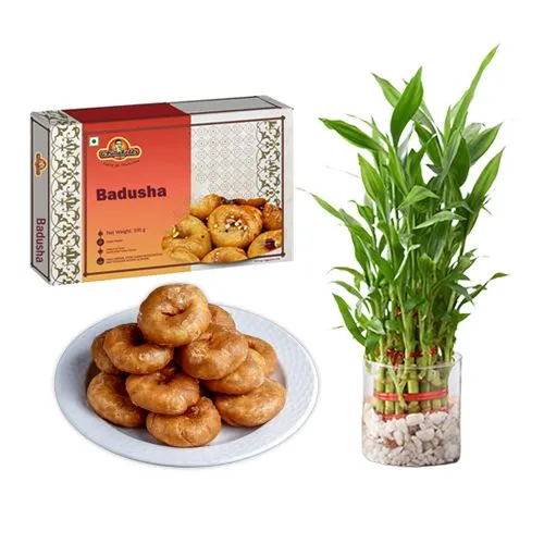 Badusha from G Pulla Reddy with 3 Tier Lucky Bamboo  Plant