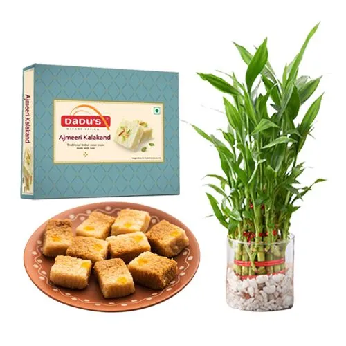 Ajmeeri Kalakand from Dadus with Lucky Bamboo Plant