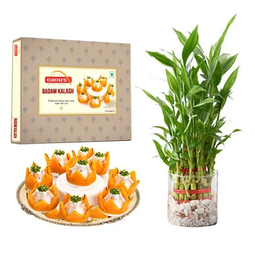 Badam Kalash from Dadus with Lucky Bamboo Plant