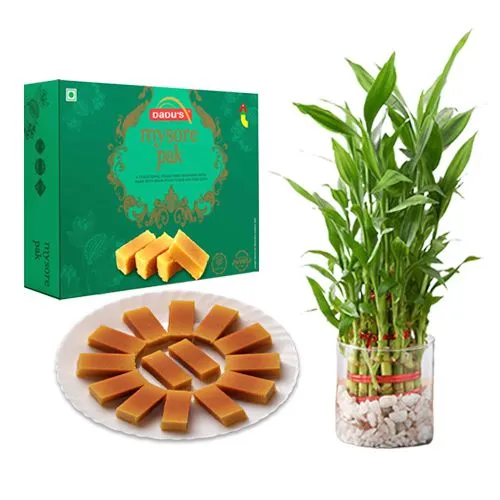 Ghee Mysorepak from Dadus with Lucky Bamboo Plant
