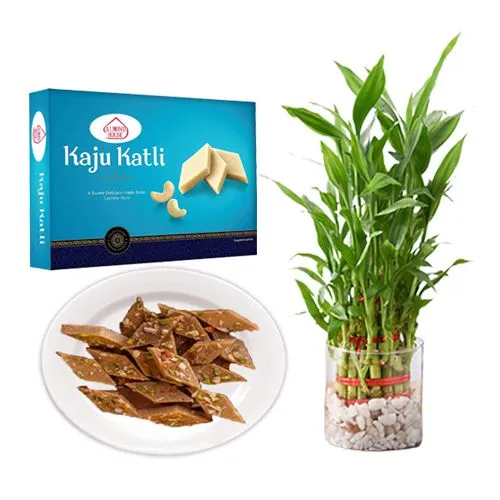 Peppery Cashew Burfi from Almond House with 3 Tier Lucky Bamboo Plant