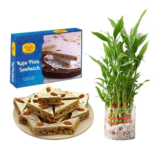 Kaju Pista Sandwich from Almond House with 3 Tier Lucky Bamboo Plant