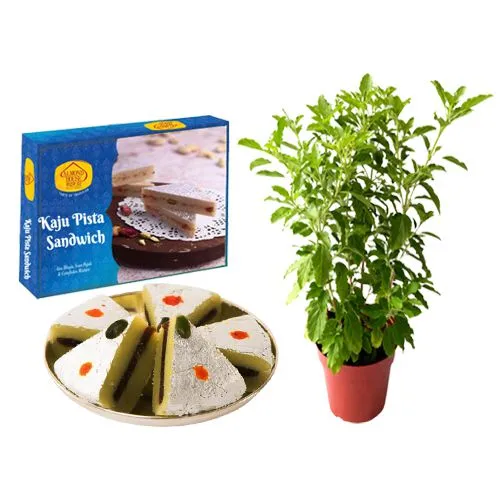 Kaju Pista Sandwich from Almond House with a Tulsi Plant