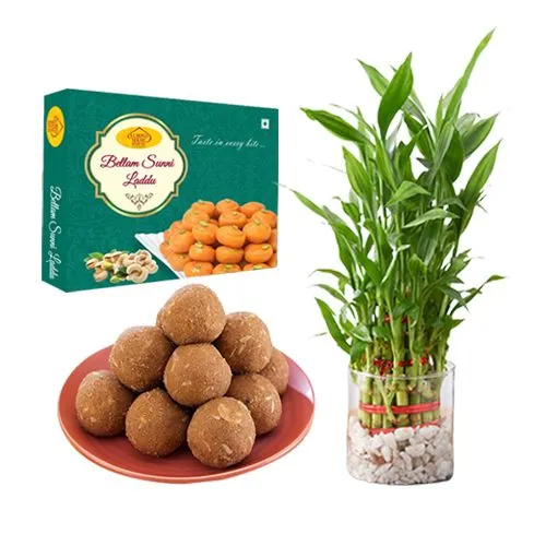 Bellam Sunni Laddu from Almond House with 3 Tier Lucky Bamboo Plant