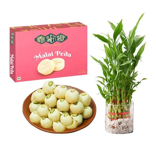 Malai Peda Box from Bombay Sweet Shop with Lucky Bamboo  Plant