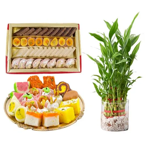 Assorted Sweets Box from Bombay Sweet Shop with Lucky Bamboo Plant