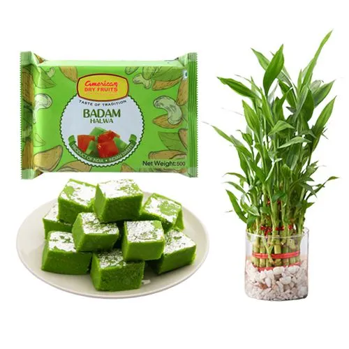 Badam Pista Halwa from American Dry Fruits with Lucky Bamboo  Plant