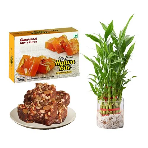 Sugarfree Dry Fruit Halwa from American Dry Fruits with Lucky Bamboo Plant