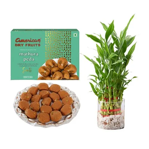 Mathura Peda from American Dry Fruits with Lucky Bamboo Plant