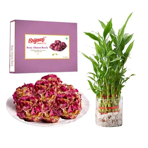 Rose Almon Rock from Brijwasi Sweets with Lucky Bamboo Plant