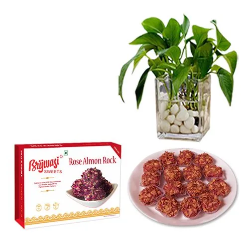 Rose Almon Rock from Brijwasi Sweets with Money Plant