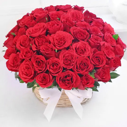 Spectacular 50 Red Roses Arrangement Spectacular 50 Red Roses Arrangement