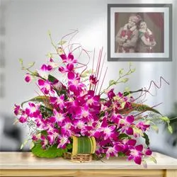 Deliver 10 Charming Orchids Bouquet