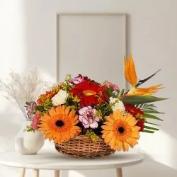 Send online Carnations N Gerberas Basket