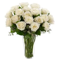 15 Classy White or Creamy Roses in a Vase