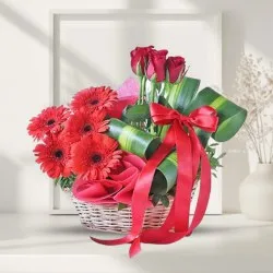 Gorgeous Red Roses n Gerberas Basket Arrangement