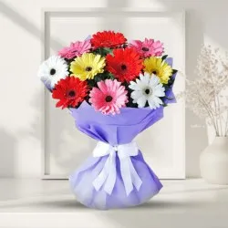 Classic Tissue Wrapped Multicolour Gerberas Bouquet